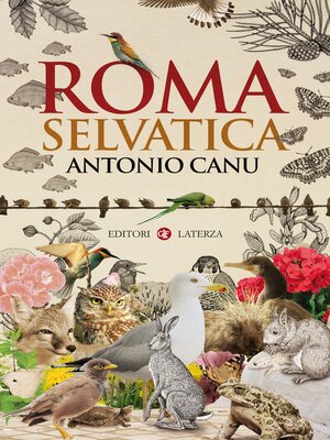 cover image of Roma selvatica